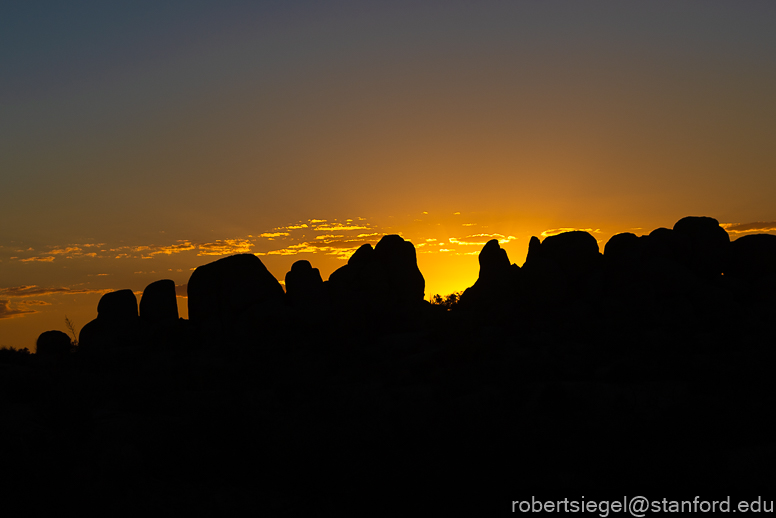 Joshua Tree